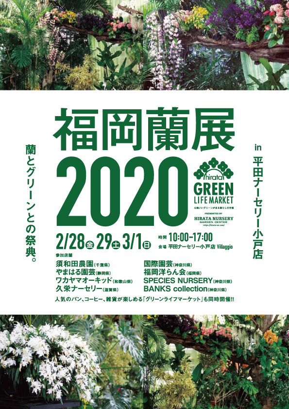 平田ナーサリー福岡蘭展2020