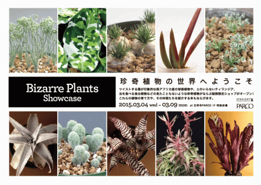 Bizarre Plants Showcase @ 吉祥寺PARCO | 武蔵野市 | 東京都 | 日本