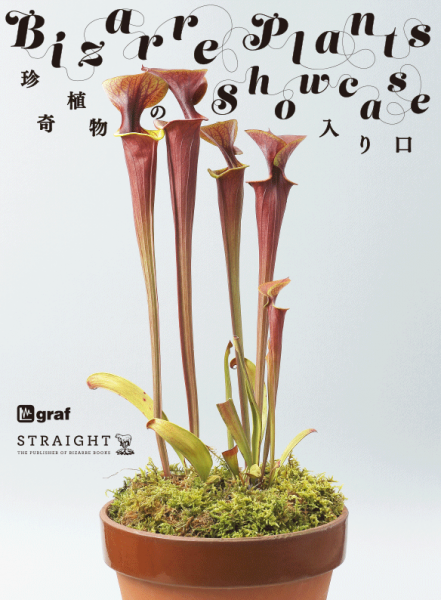 Bizarre Plants Showcase - 珍奇植物の入り口 - @ graf | 大阪市 | 大阪府 | 日本