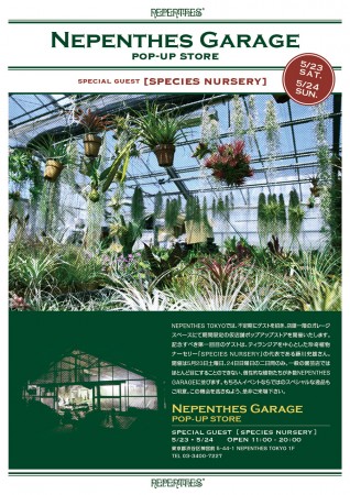 NEPENTHES GARAGE POP-UP STORE SPECIES NURSERY @ NEPENTHES TOKYO | 渋谷区 | 東京都 | 日本
