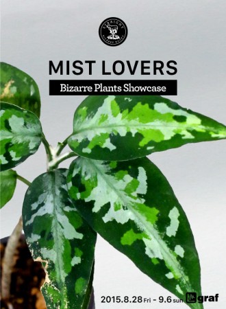 MIST LOVERS -Bizarre Plants Showcase at graf-に参加致します @ graf | 大阪市 | 大阪府 | 日本