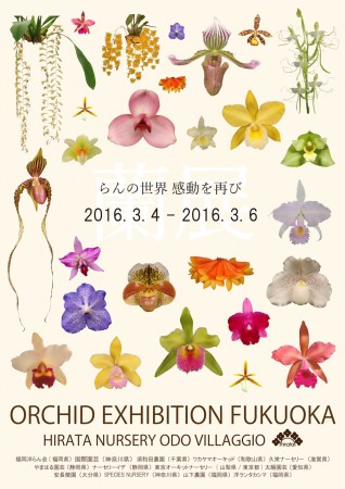 ORCHID EXHIBITION FUKUOKA @ 福岡市 | 福岡県 | 日本