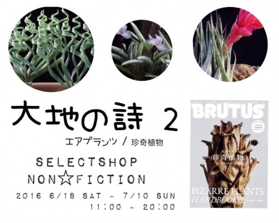 NON☆FICTION（静岡）販売イベント @ NON☆FICTION | 富士市 | 静岡県 | 日本