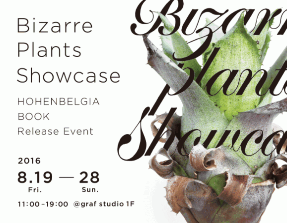 Bizarre Plants Showcase HOHENBELGIA BOOK Release Event @ graf studio（1F : Shop&Kitchen・2F : Office） | 大阪市 | 大阪府 | 日本
