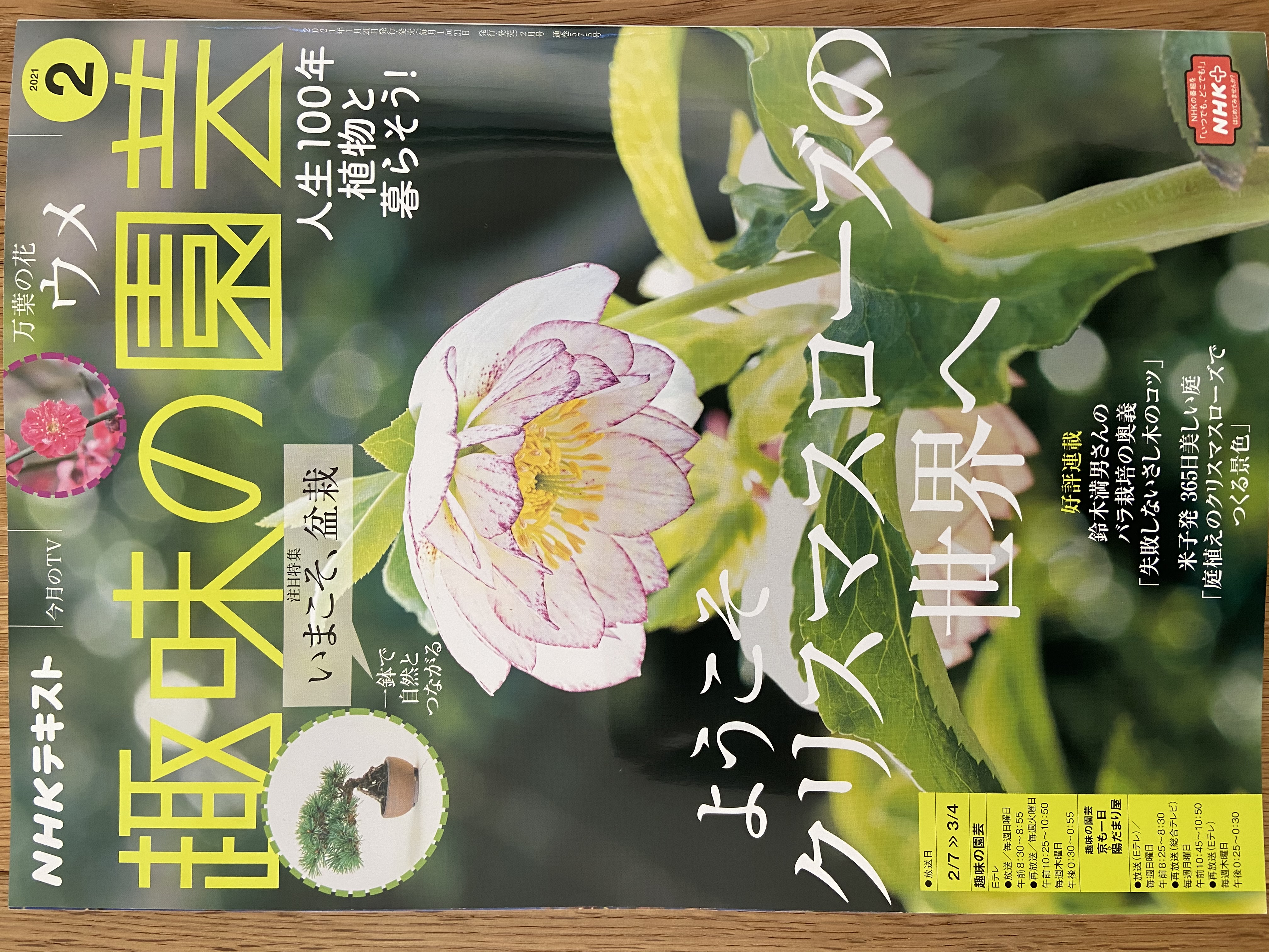 PUBLISHED IN A MAGAZINE – SPECIES NURSERY