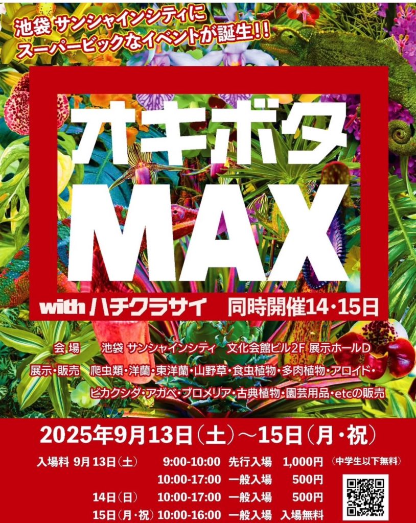 落葉樹 2025.07.25 Florida variegated. 落葉樹 2025.07.25 Florida variegated. 落葉樹 2025.07.25 Florida