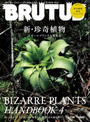 BRUTUS2019年7/15号 BRUTUS2019年7/15号