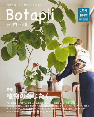 Botapii_vol112017年 Botapii_vol112017年