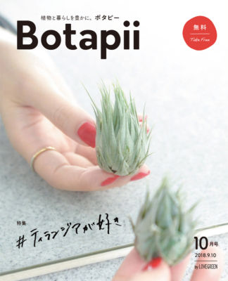 Botapii2018年10月号 ティランジアが好き botapii20180910