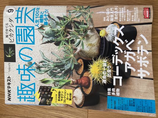 趣味の園芸2020年9月号 趣味の園芸2020年9月号